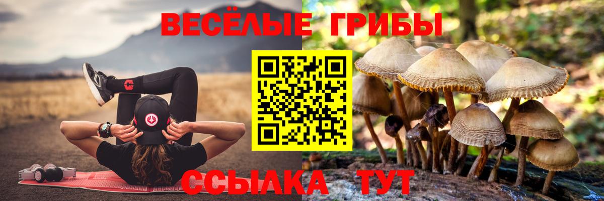 Галлюциногенные грибы прущие грибы  Псилоцибиновые грибы прущие грибы  Шатура  Вход с VPN 